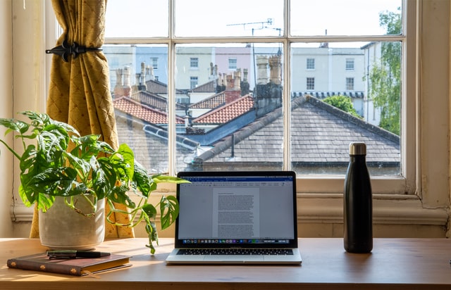 Laptop, plant and water bottle on a window.