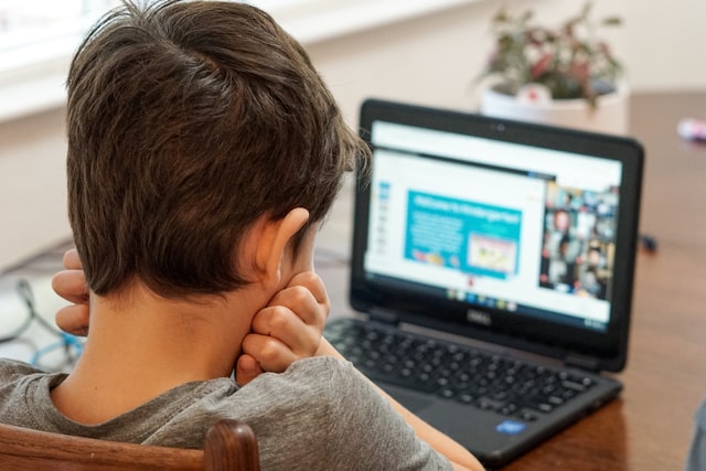 Image taken from behind of a young boy looking at laptop screen.