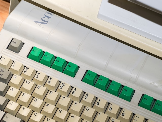 Preparing for a digital future: the legacy of ‘Digital Pioneers’ 